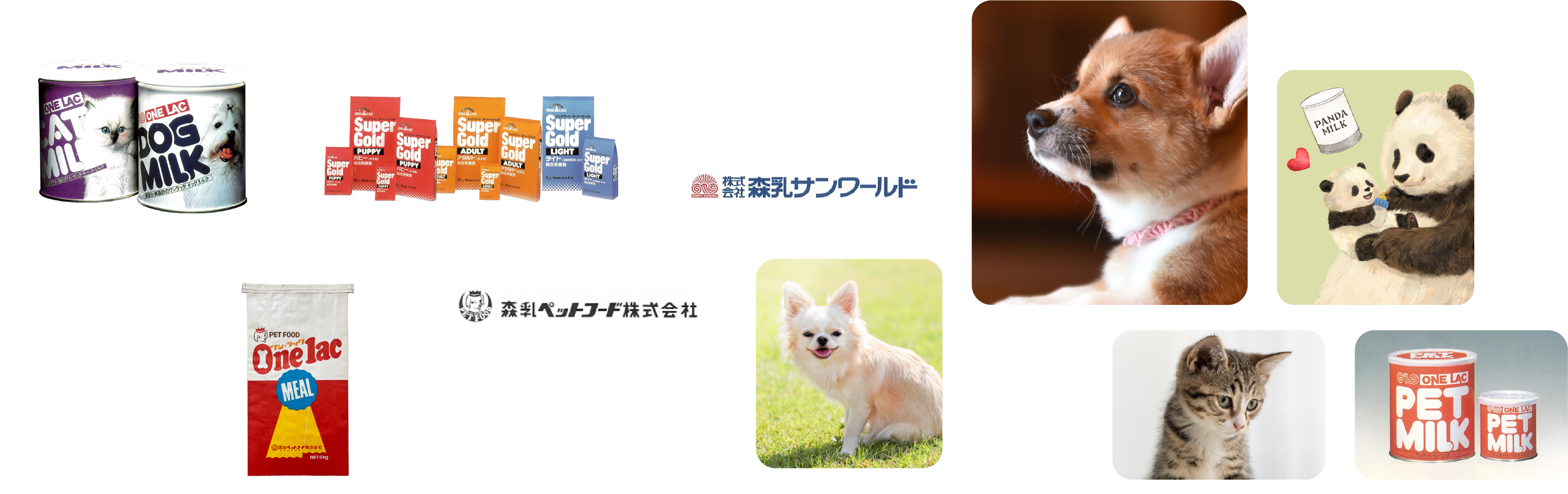 ヒストリー　イメージ画像