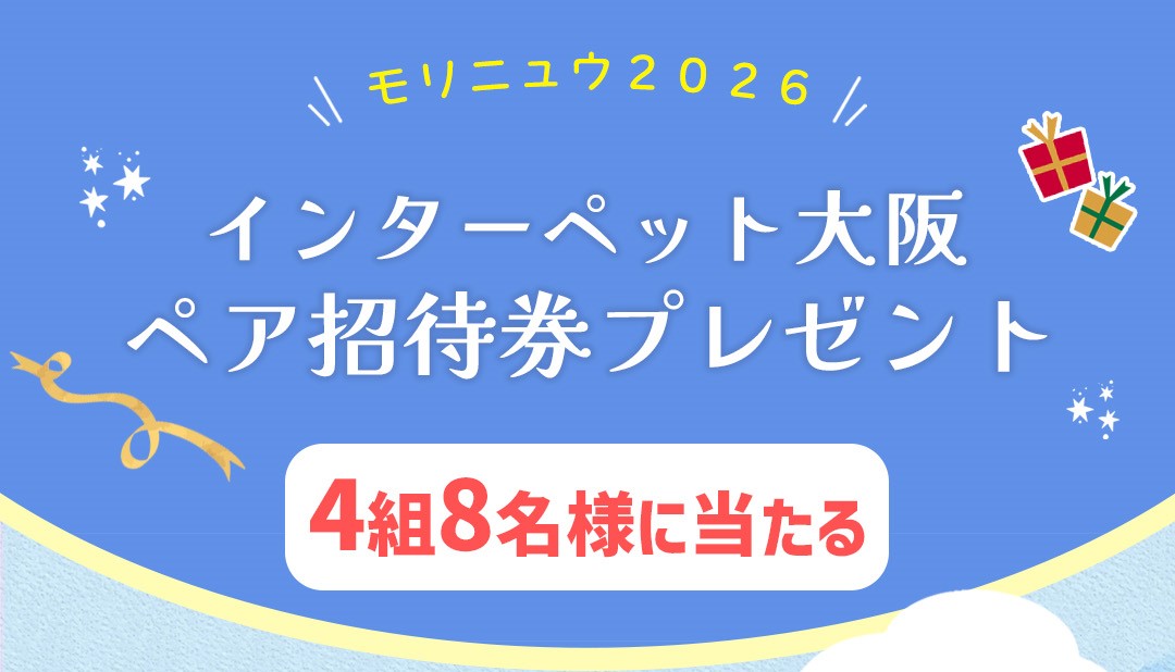 モリニュウＣＰ　インターペット大阪 | サムネイル画像