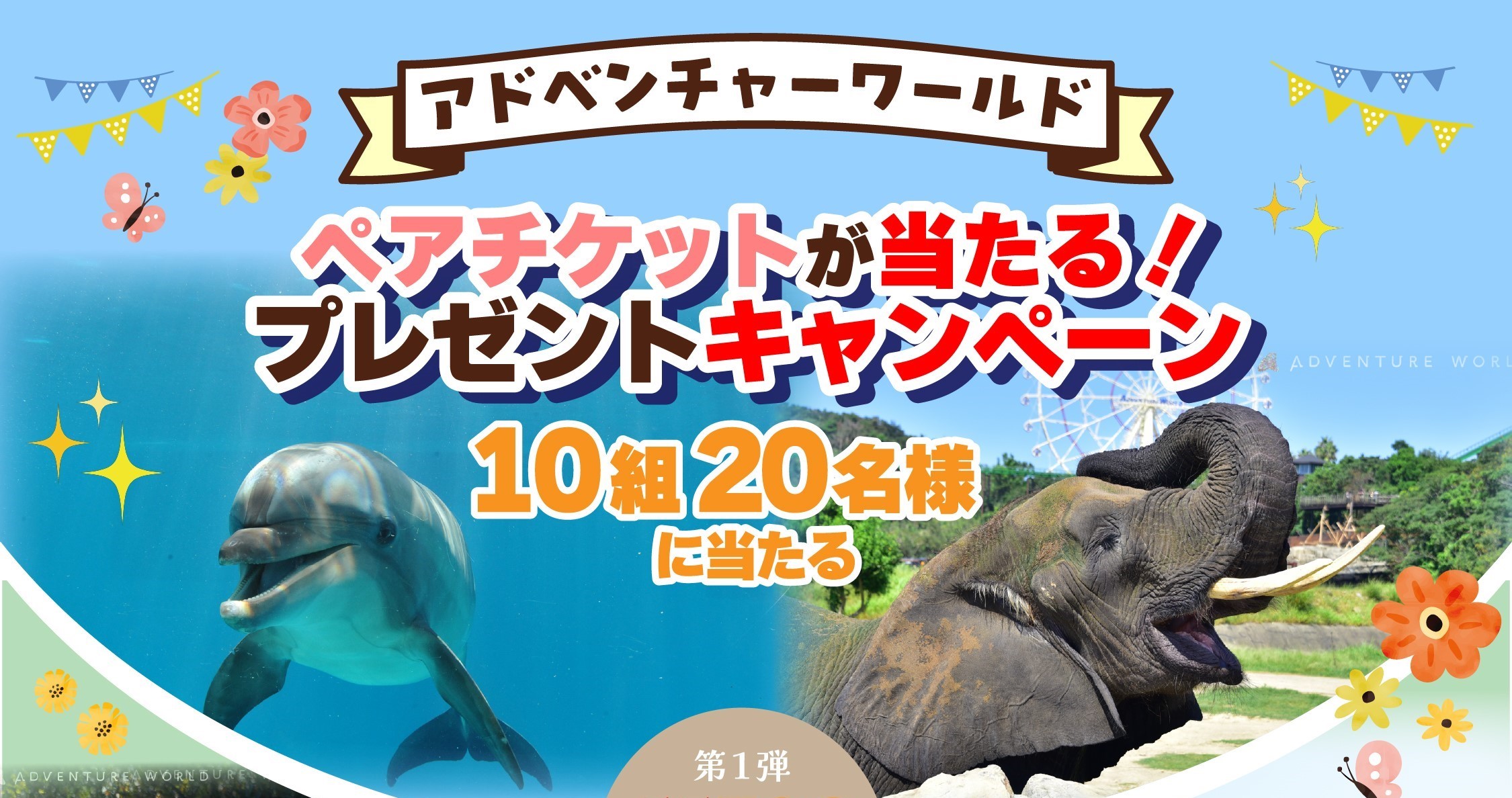 ５５ＺＯＯプロジェクト　ＣＰ① | サムネイル画像