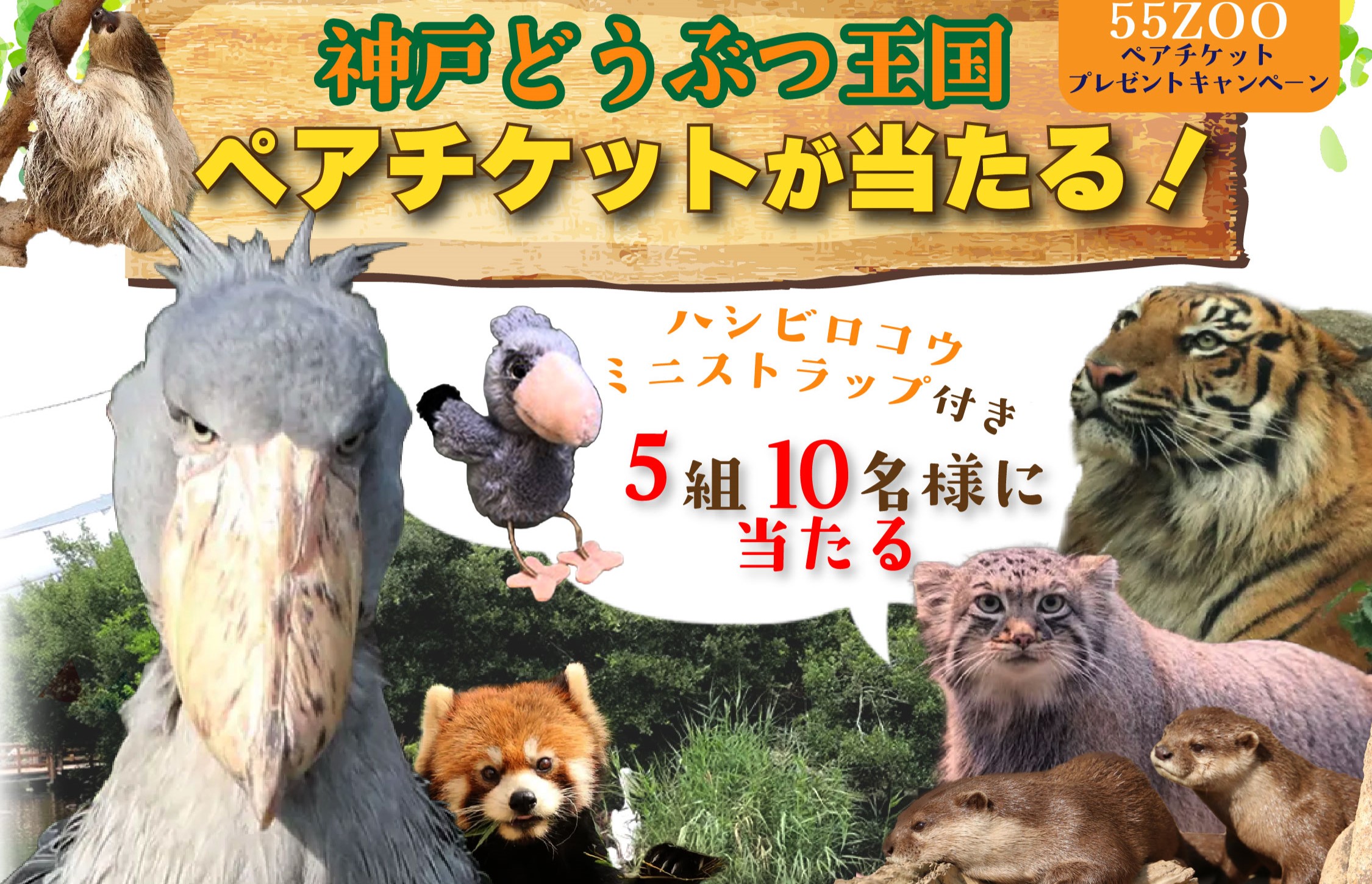 ５５ＺＯＯプロジェクトＣＰ⑤ | サムネイル画像